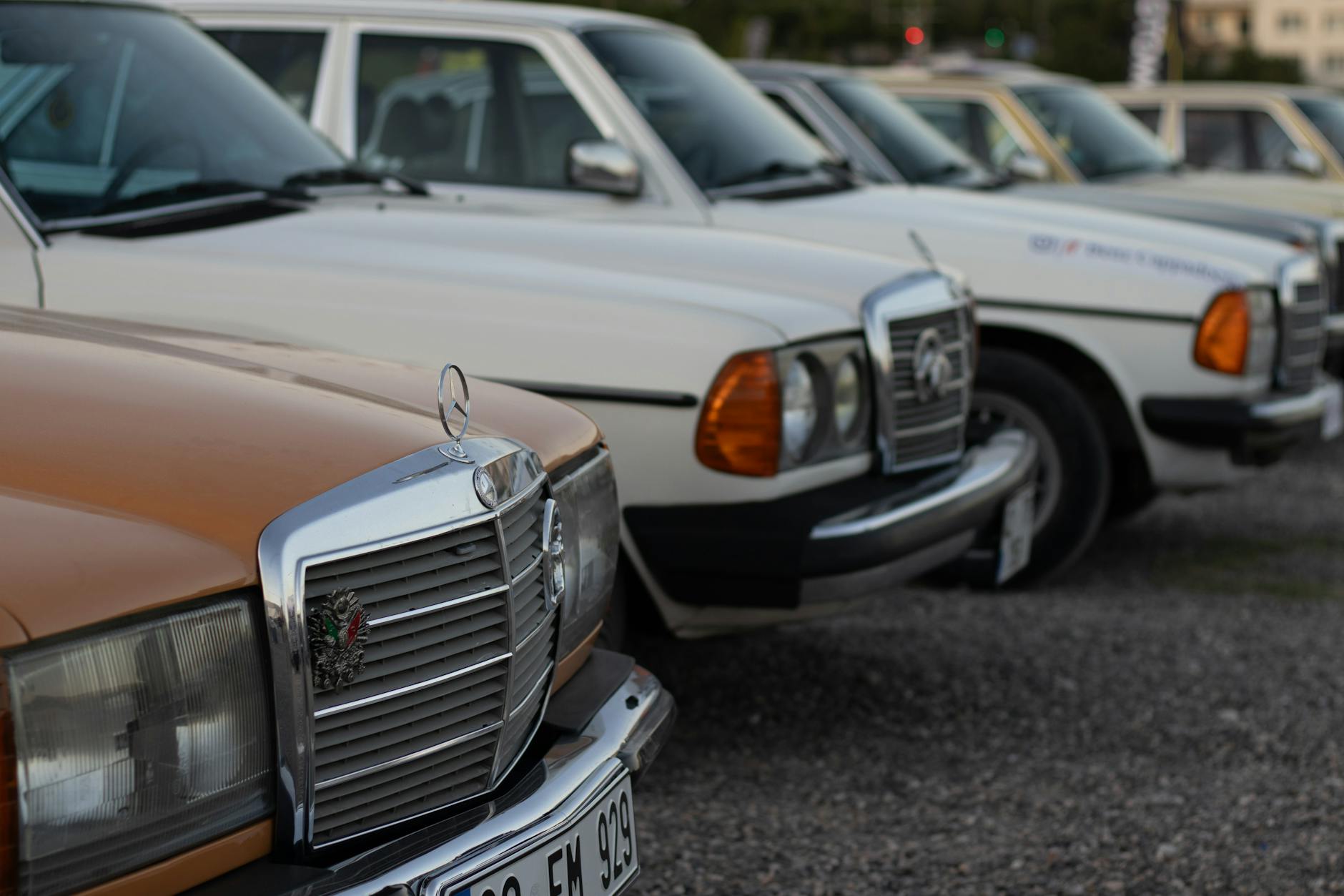Toruń: Logo żużlowe i gwiazda Mercedesa symbolizujące nadchodzące wydarzenia w mieście.